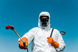 Best Fumigation Services  in Dickinson, TX